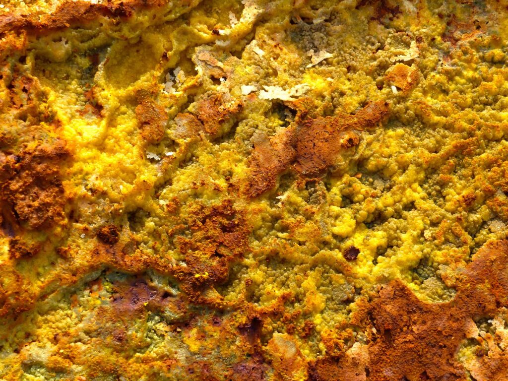 El latido mineral del Rift de Etiopía: Logística de tierras altas, caravanas de sal y la conectividad invisible del Gran Valle