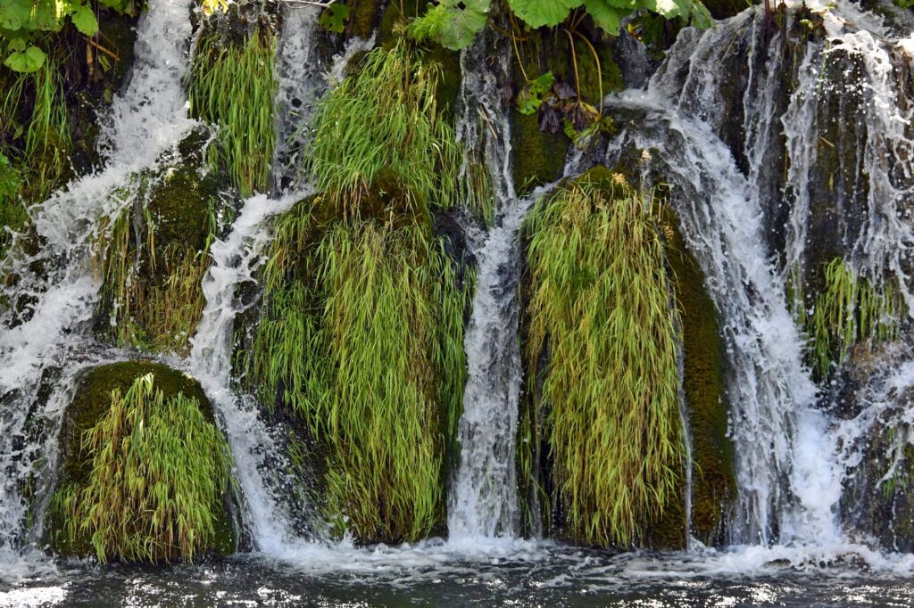 El silencio milenario de los lagos de Plitvice: ingeniería de pasarelas y el ritmo secreto del agua en Croacia