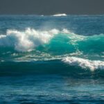 La Travesía del Estrecho de Cook a Vela: Guía de Navegación Oceánica y Logística Marina por las Aguas Salvajes de Nueva Zelanda