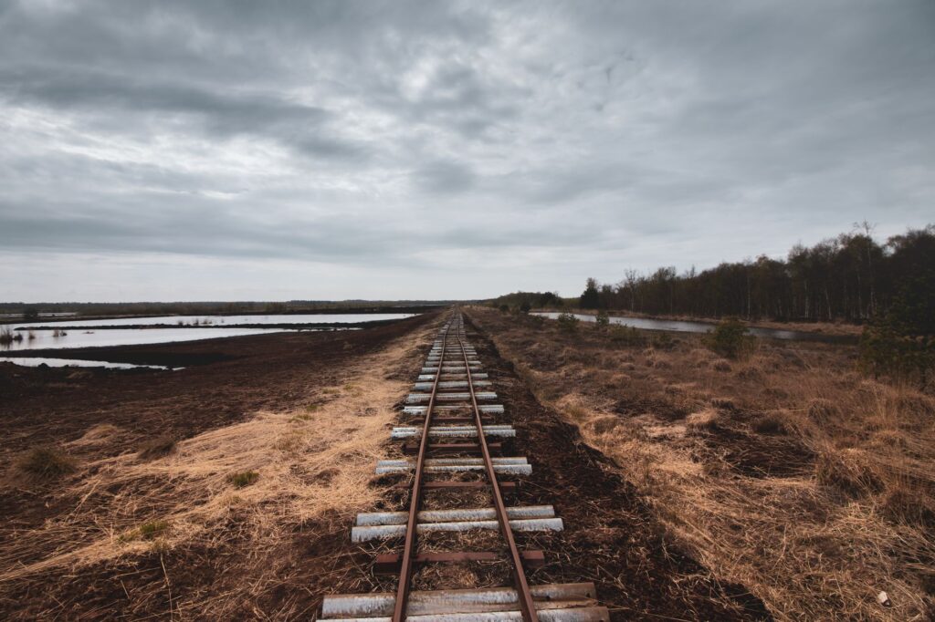 El laberinto intermodal del mar de Wadden: transbordadores de mareas, planchones de fango y la frágil conectividad de un santuario somero