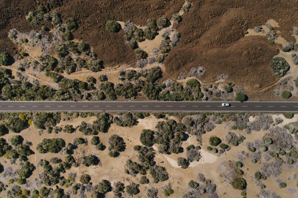 El laberinto intermodal del archipiélago de las islas Chatham: goletas de carga, pistas de turba y la frágil conectividad de un confín austral