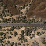 El laberinto intermodal del archipiélago de las islas Chatham: goletas de carga, pistas de turba y la frágil conectividad de un confín austral