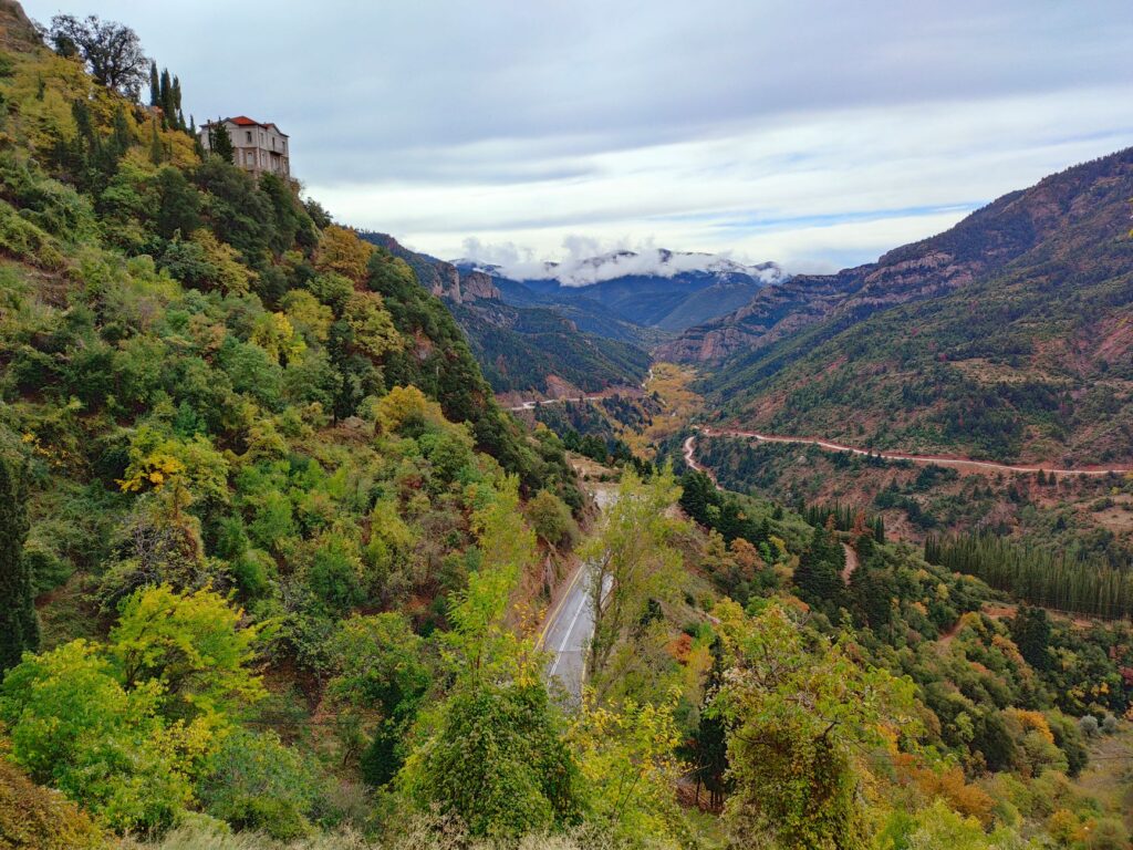 El refugio del rebeco en los Picos de Europa: biología, corredores kársticos y conservación en las alturas cántabras