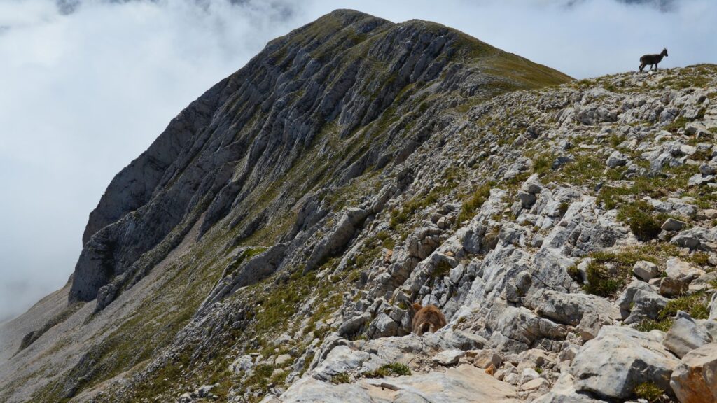 El Dominio de las Crestas Silenciosas: Geología, Alta Ruta y Sostenibilidad en el Parque Nacional de Ordesa y Monte Perdido