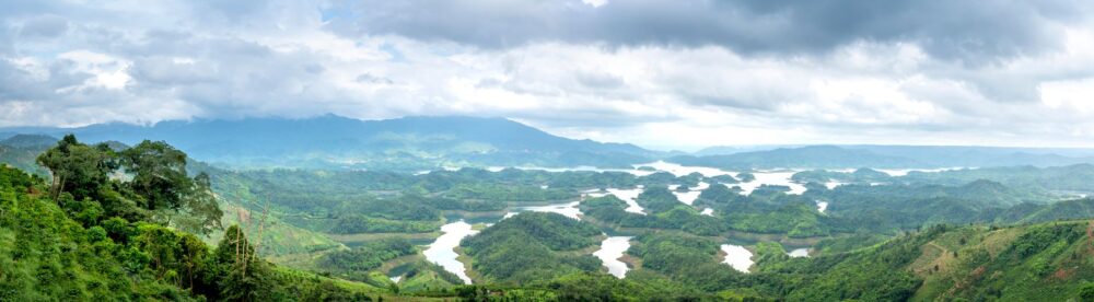 100 años de café en Khe Sanh: El renacimiento aromático de las tierras altas de Vietnam