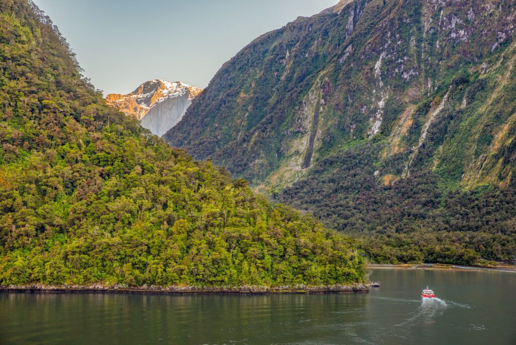 El laberinto de los fiordos de Milford Sound: Navegación de alta mar, ingeniería de túneles y la frágil conectividad de la costa oeste de Nueva Zelanda