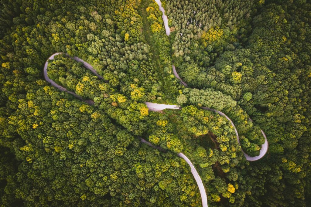 El laberinto intermodal de los fiordos de Fiordland: barcos, mareas y la frágil conectividad anfibia del extremo suroeste de Nueva Zelanda