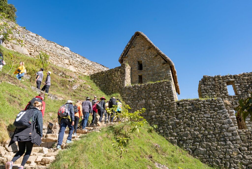 La Travesía del Camino Inca Clásico: Guía de Expedición y Senderismo de Alta Montaña por la Cordillera Andina del Perú