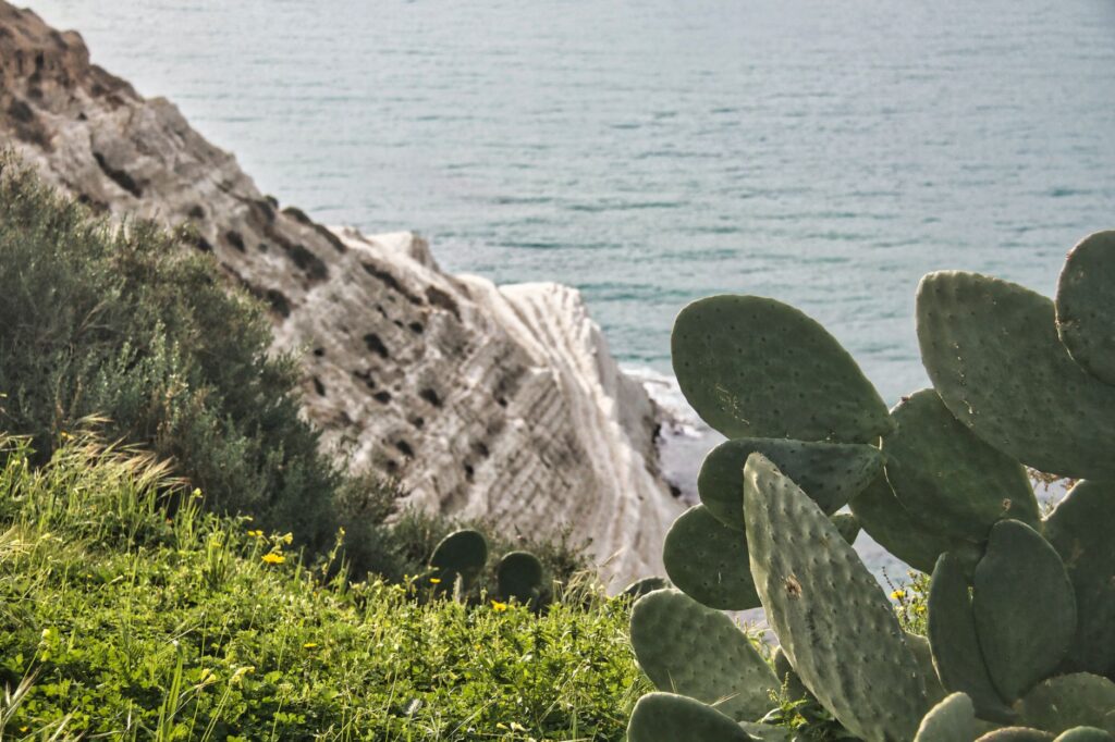 Las mejores playas de Italia: de la luz de Sicilia al abrazo azul de Apulia