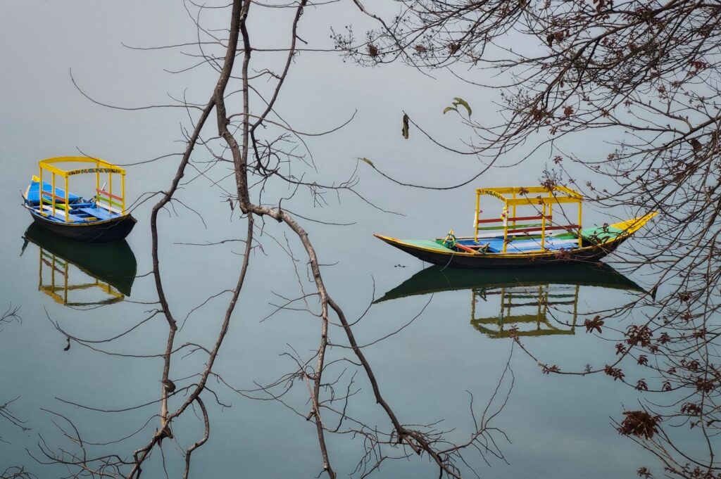 El oro subterráneo de Istria: Cuando el otoño convierte los viñedos en poesía líquida