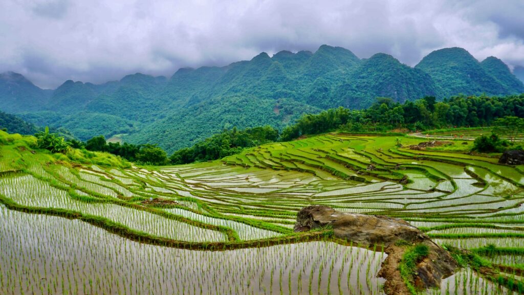 El Ferrocarril Trans-Vietnam: Ingeniería de arrozales, logística monzónica y la conectividad ferroviaria histórica entre Hanói y Ciudad Ho Chi Minh