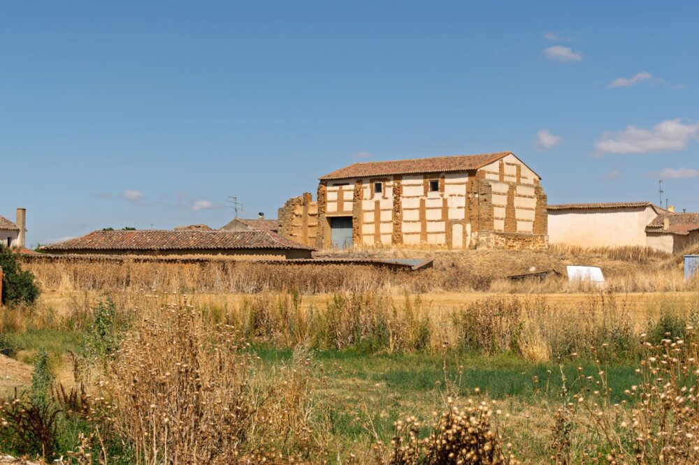 El secreto de la roca y la flor silvestre: la liturgia del queso de Teruel y los pastores de los altos páramos