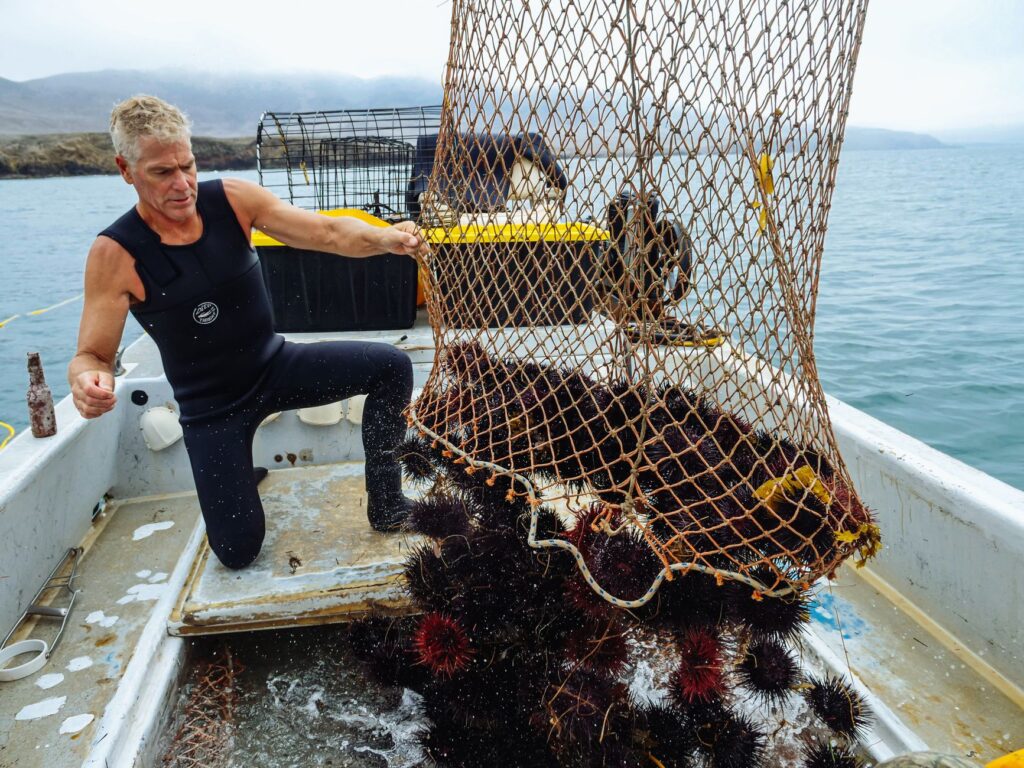 El secreto de la espuma y el Atlántico: la liturgia del percebe y la pesca extrema en las rompientes de la Costa da Morte