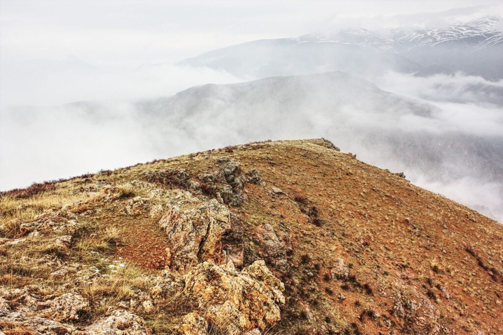 El Refugio del Leopardo de las Nieves en el Gran Pamir: Biología, Corredores Transfronterizos y Conservación en las Cumbres de Asia Central