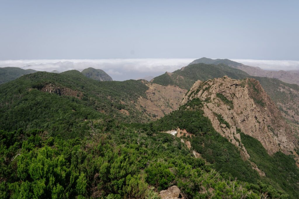 Buenavista Terrae: Donde la agroecología dibuja el futuro del turismo sostenible en Tenerife