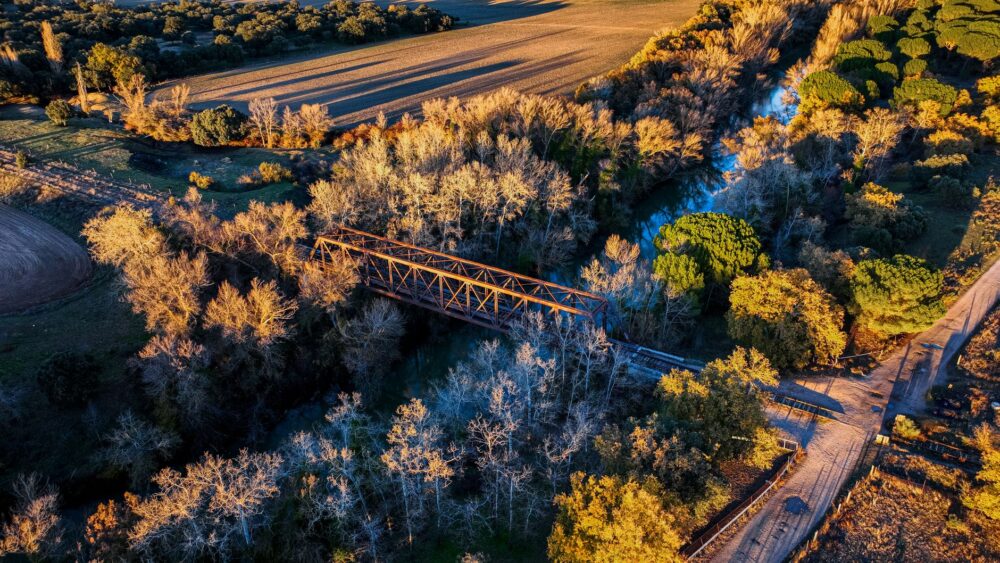 El latido del tren de la cuenca del Rin: ingeniería fluvial y movilidad transfronteriza en Centroeuropa