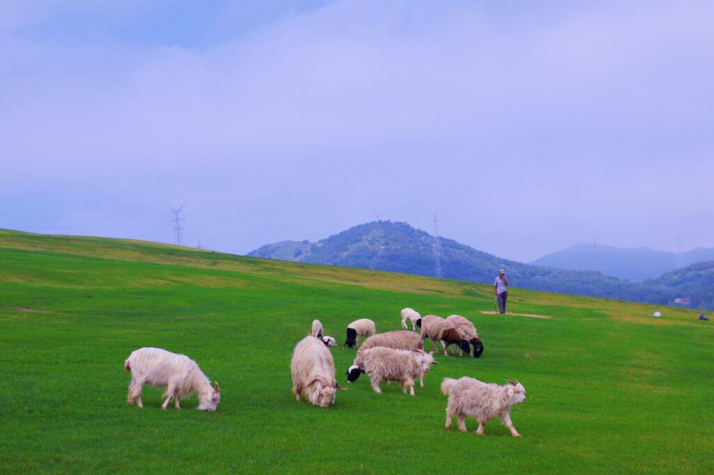 El laberinto de las cumbres kársticas: cómo la movilidad vertical sostenible y los senderos suspendidos transforman el transporte en los Picos de Europa