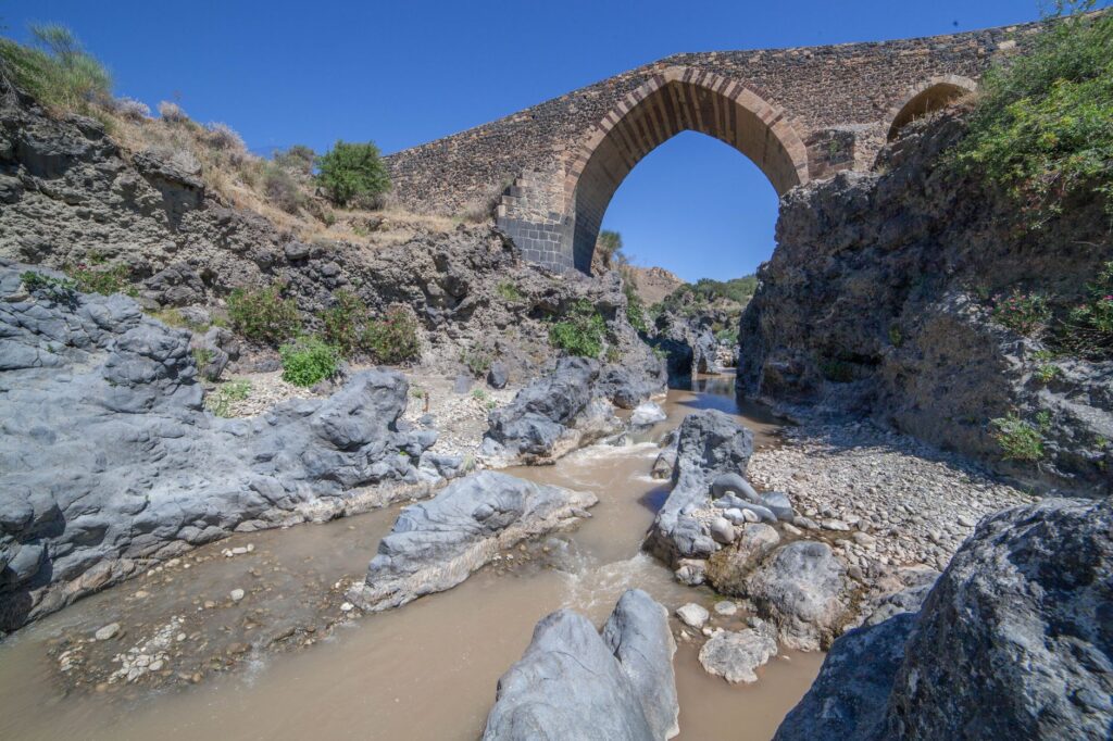 El latido de los bancales de olivar: cómo la agricultura regenerativa y los senderos de piedra seca transforman la conservación en la Sierra de Aracena