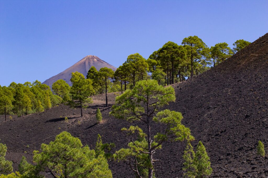 El Ferrocarril del Teide: Ingeniería volcánica, logística insular y la conectividad ferroviaria histórica en Tenerife