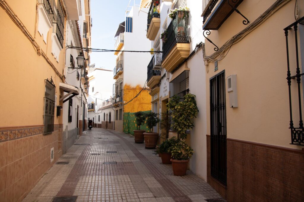 El secreto del trigo y la albariza: la liturgia del Mercado Central de Cádiz y los tesoros de la Bahía