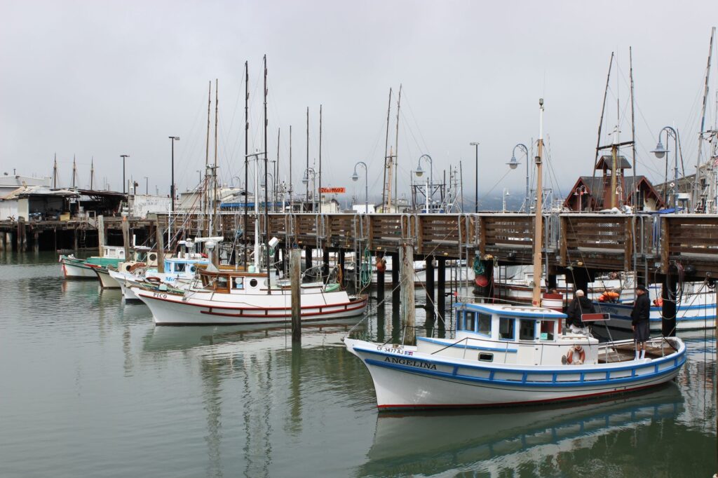 La Travesía de las Islas de los Canales: Guía de Navegación Costera y Expedición Oceánica por el Pacífico Californiano