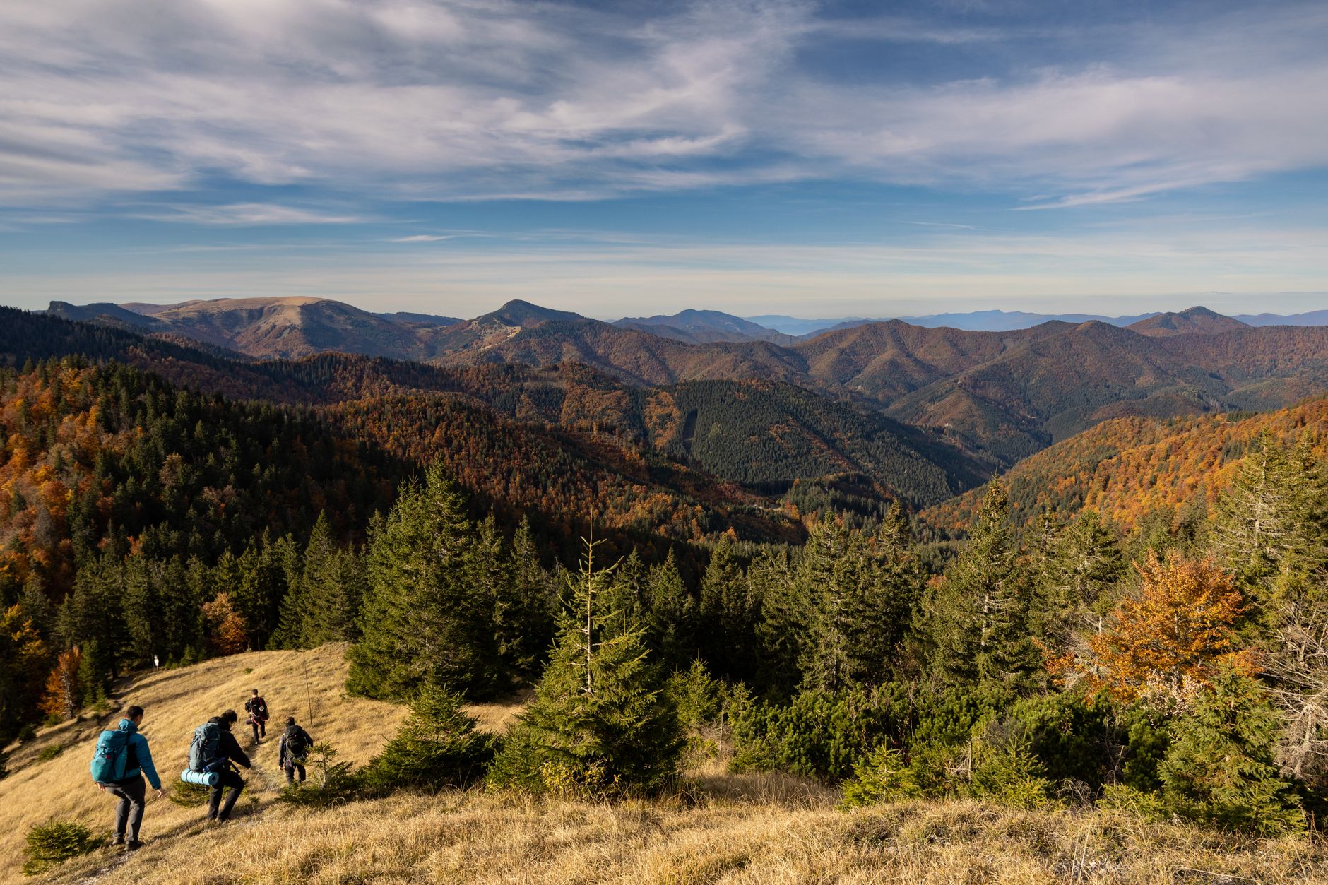 La Travesía del Sentero de los Cárpatos Transilvanos: Guía de Expedición y Senderismo por los Bosques Primarios de Rumanía