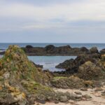 Cuatro días en Islay junto a mi padre: más allá del humo y la turba escocesa