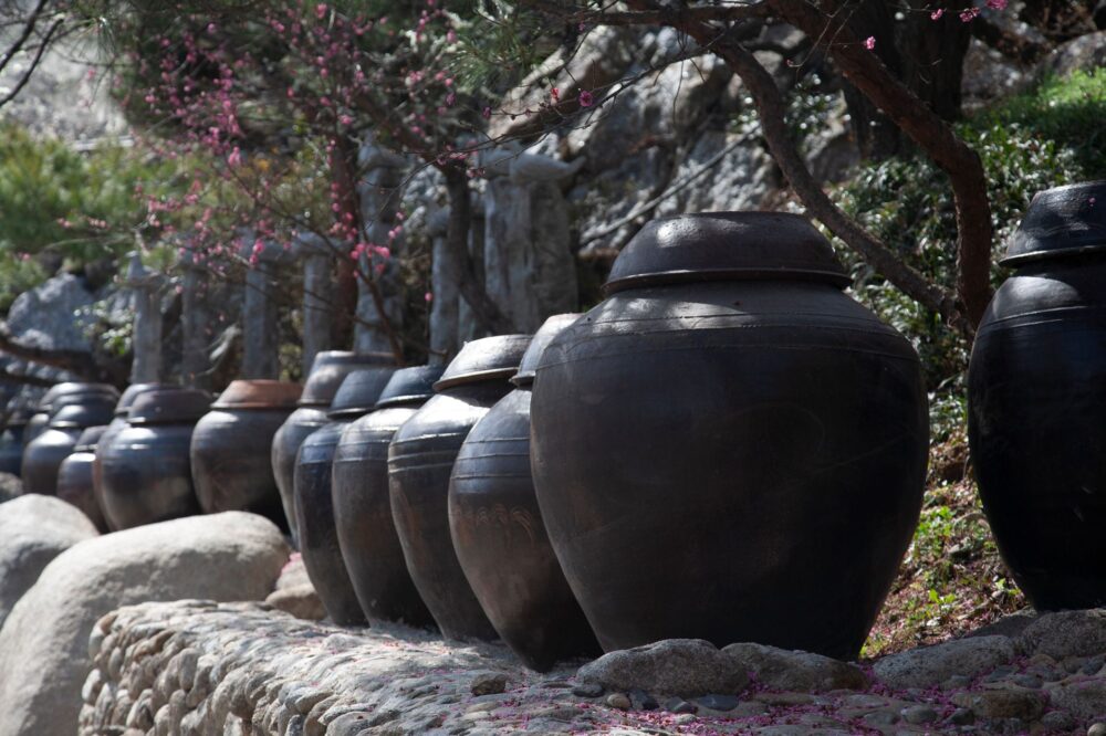 El secreto de la arcilla y el tiempo: la liturgia del Kimchi en los valles de Gwangju