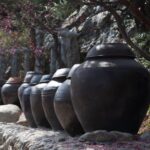 El secreto de la arcilla y el tiempo: la liturgia del Kimchi en los valles de Gwangju
