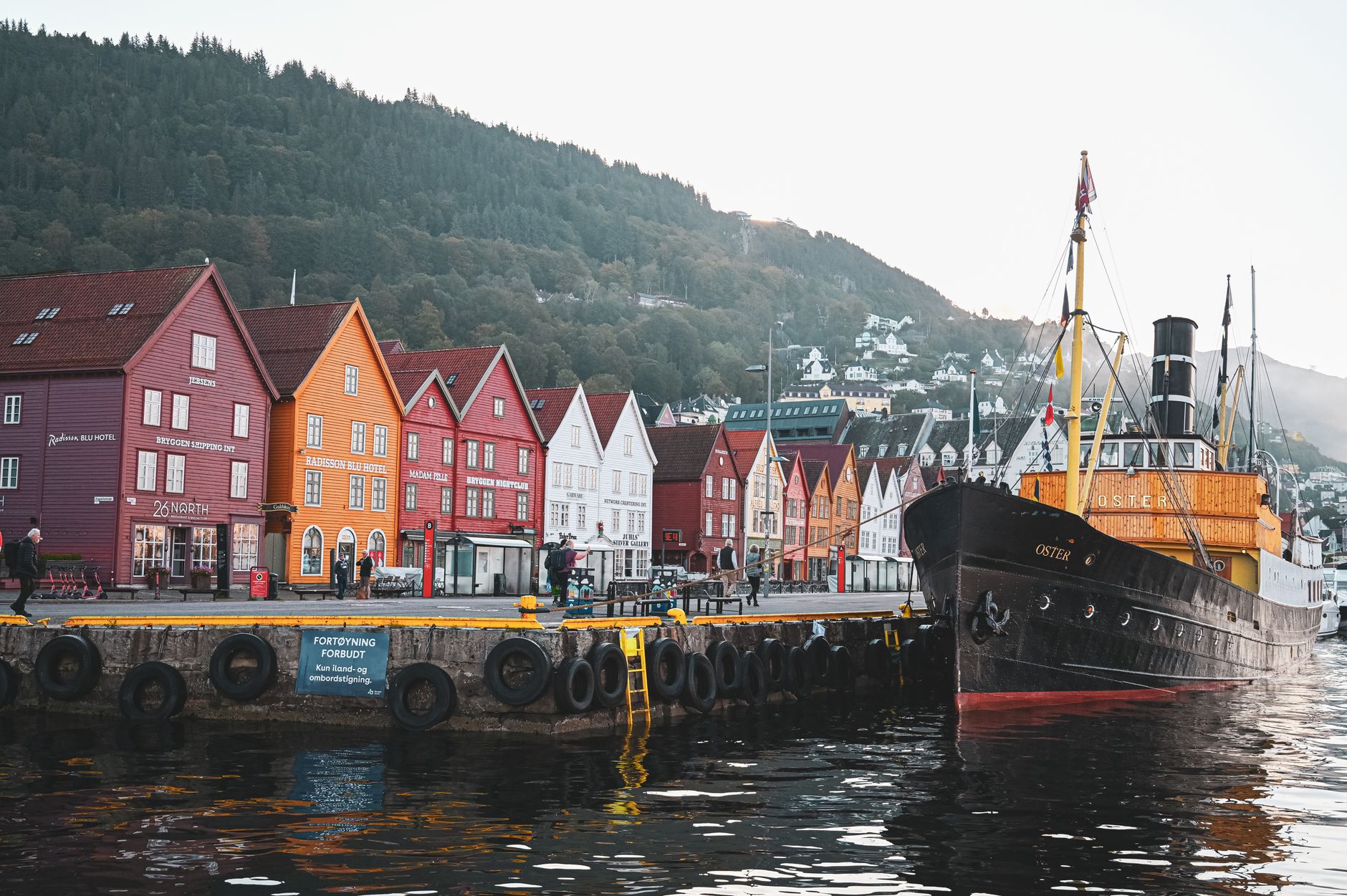 La transformación silenciosa de los transbordadores híbridos en los fiordos noruegos: conectividad y conservación