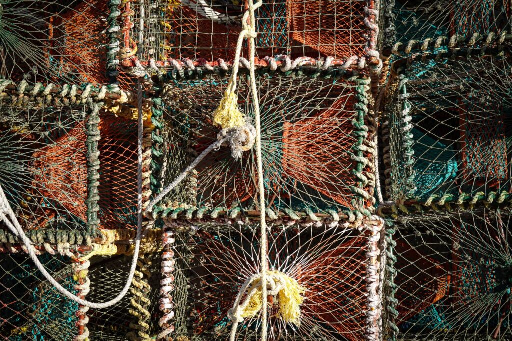 El Santuario Submarino del Estrecho de Gibraltar: Oceanografía, Corrientes de Afloramiento y Conservación en el Megapuente Biológico entre el Atlántico y el Mediterráneo