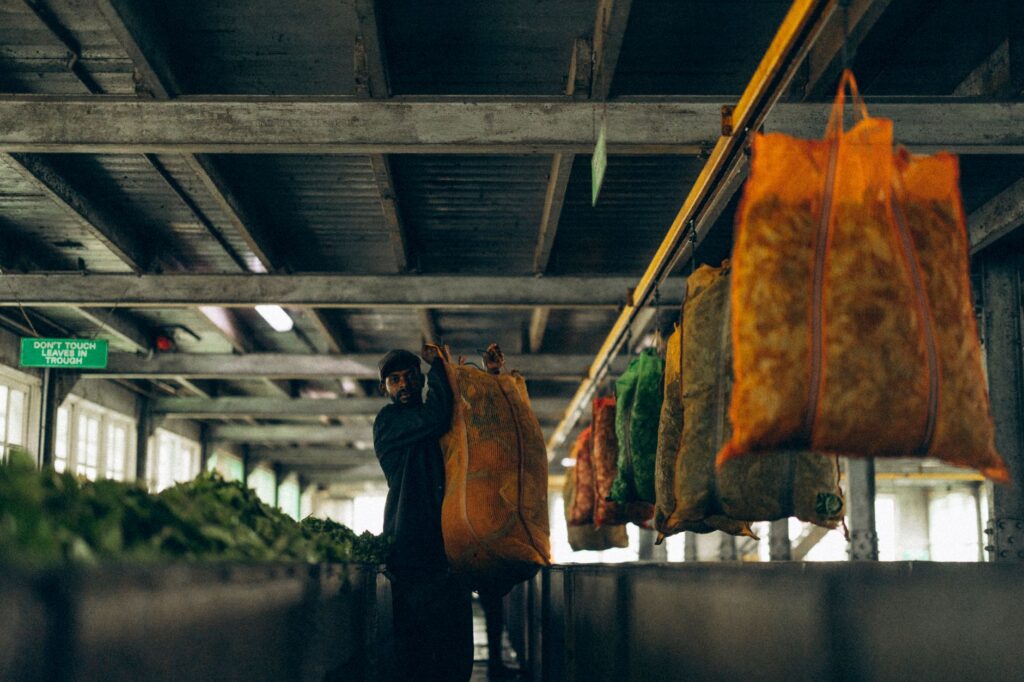 El Tren de las Plantaciones de Darjeeling: Ingeniería de vapor, logística de montaña y la conectividad ferroviaria hacia el Himalaya indio