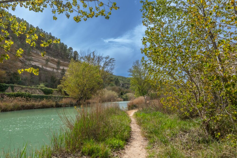 El secreto del río y la trucha salvaje: la liturgia del pescado de río en los obradores fluviales del Alto Ebro