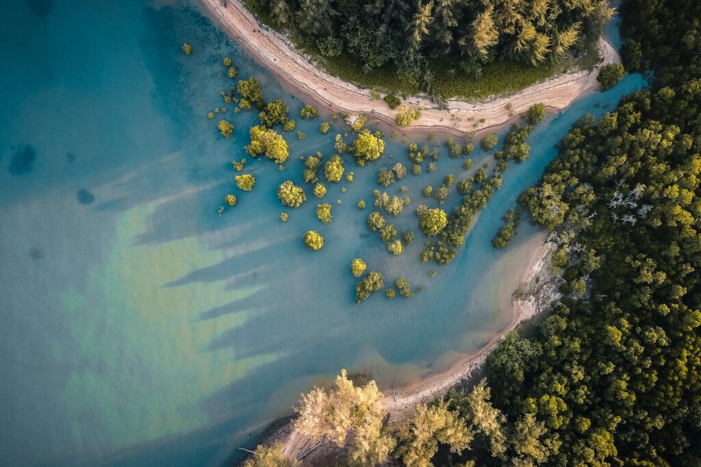 El Golfo Pérsico bajo el mar: la transformación de las rutas de ferry y la conectividad marítima en los Emiratos Árabes Unidos