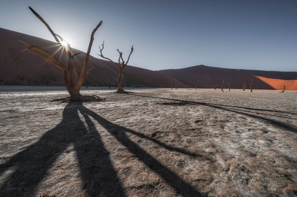 Namibia: del desierto al océano entre dunas colosales y la fría Costa de los Esquelets
