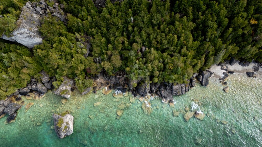 El silencio milenario de los fiordos de Haida Gwaii: navegación de bajura y arquitectura totémica en el archipiélago boreal