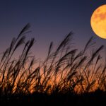 Luna de la cosecha 2026: bienvenido, otoño