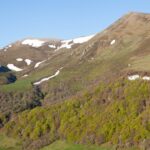 El refugio del urogallo pirenaico en los bosques de abetos de la cordillera: ecología forestal y conservación en los altos valles