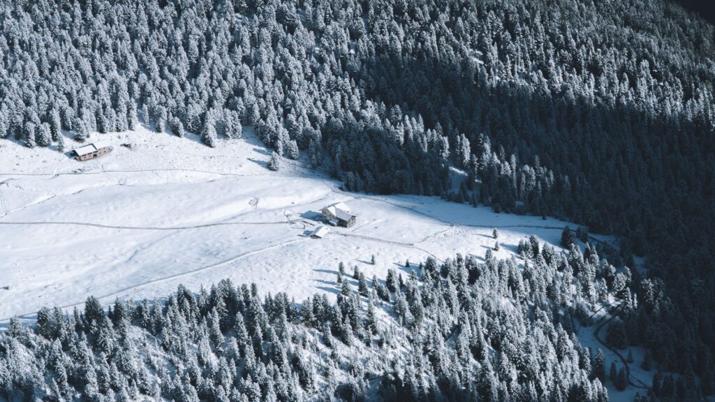 El refugio de la liebre de ventisquero en los Altos Tatras: biología, adaptación nival y conservación en las cumbres de Eslovaquia