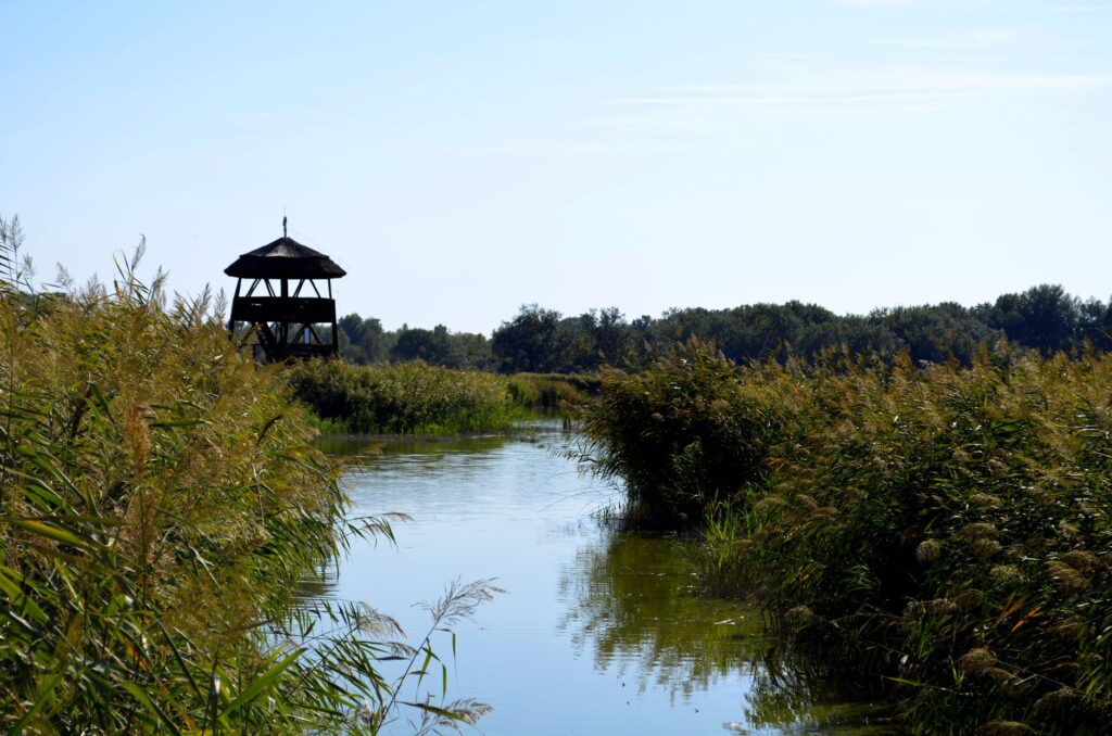 El susurro salino de Istria: talasoterapia, salinas medievales y el arte del fango en Sečovlje y Portorož