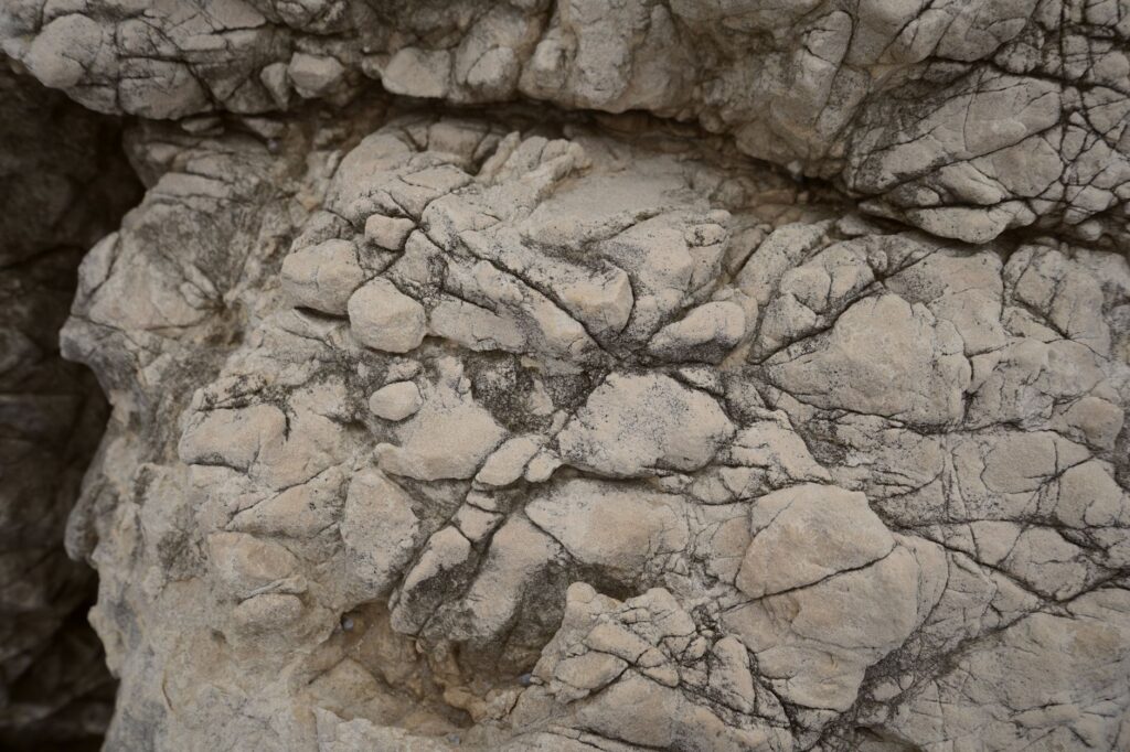 El Refugio del Alimoche en los Cañones del Ebro: Biología, Termicas y Conservación en el Páramo de la Lora