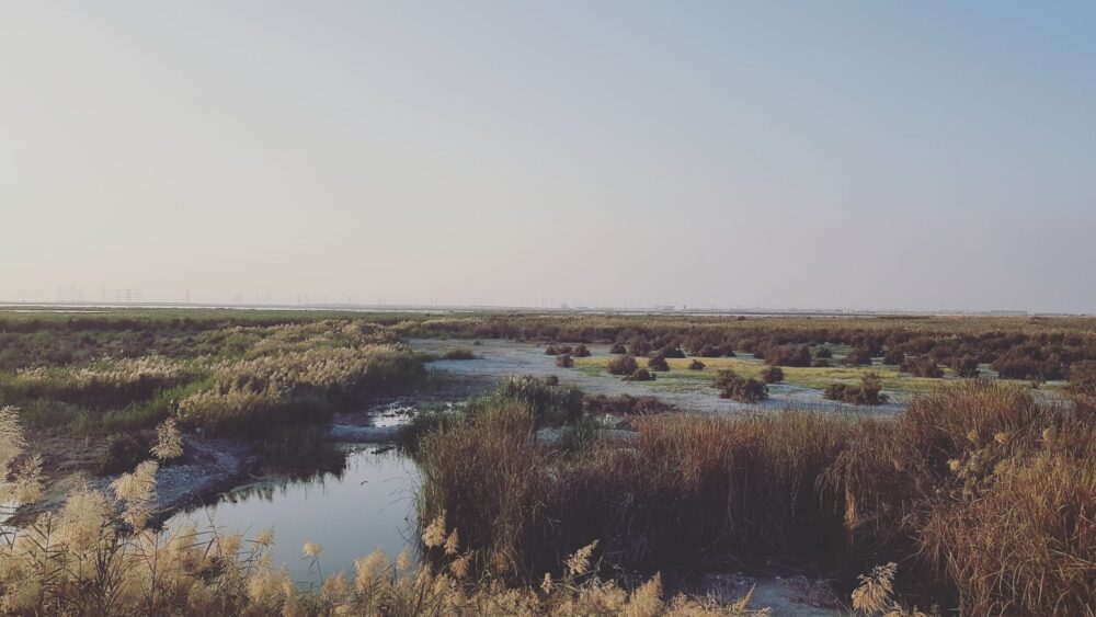 El laberinto intermodal de las marismas de Mesopotamia: Mashoofs de brea, dragas del Shatt al-Arab y la frágil conectividad de Al-Ahwar