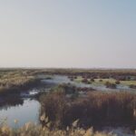 El laberinto intermodal de las marismas de Mesopotamia: Mashoofs de brea, dragas del Shatt al-Arab y la frágil conectividad de Al-Ahwar