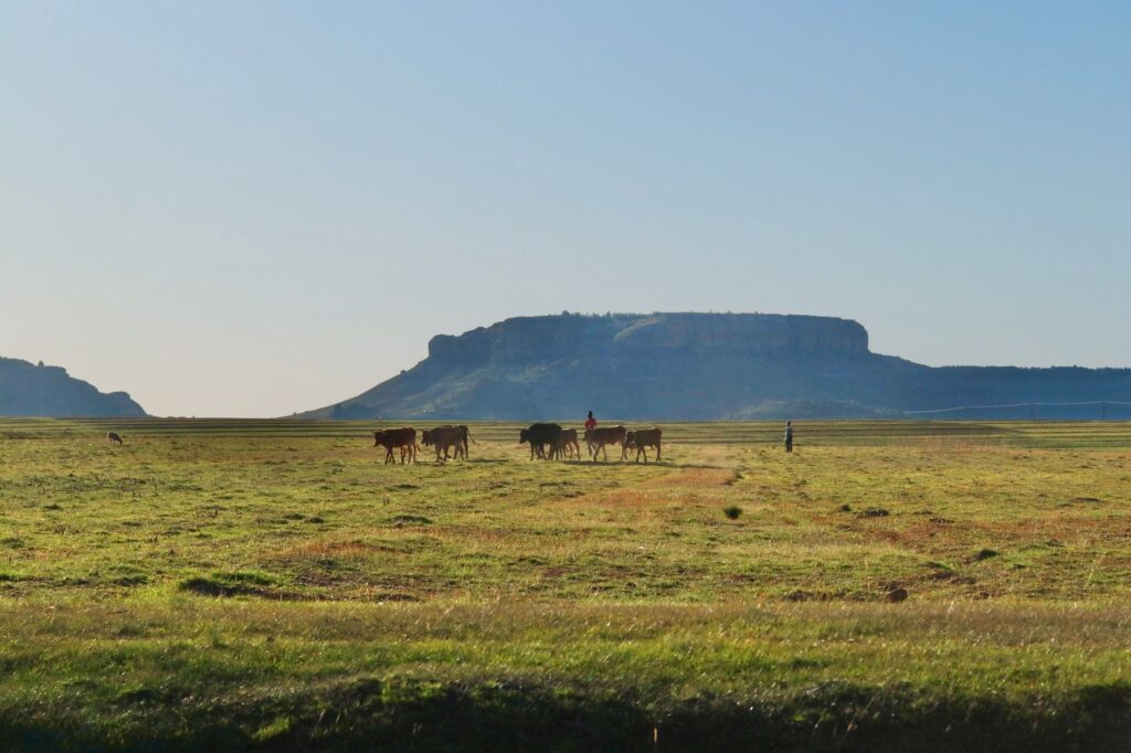 La Travesía del Sendero de Drakensberg en Sudáfrica: Guía de Expedición y Senderismo por la Cresta del Gran Escarcarpiento