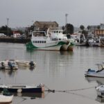 El laberinto intermodal del golfo de Aqaba: Flotas de alta velocidad, ferries de peregrinos y la frágil conectividad del mar Rojo septentrional