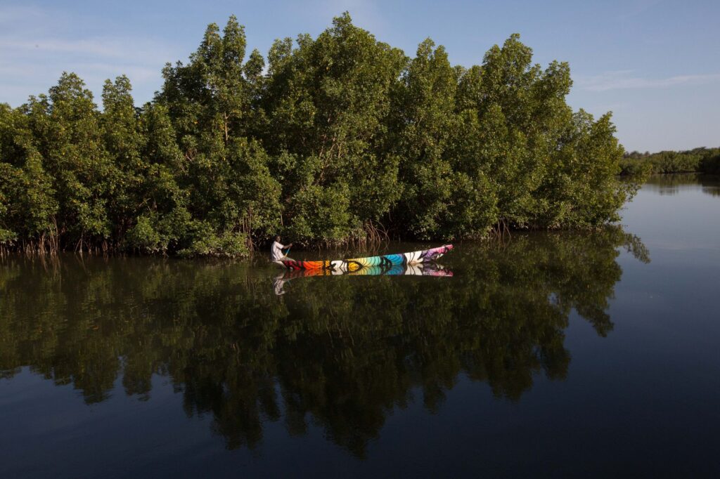 El latido de la sal y el basalto: la odisea fluvial del río Gambia y la soberanía anfibia de los barcos de pasajeros