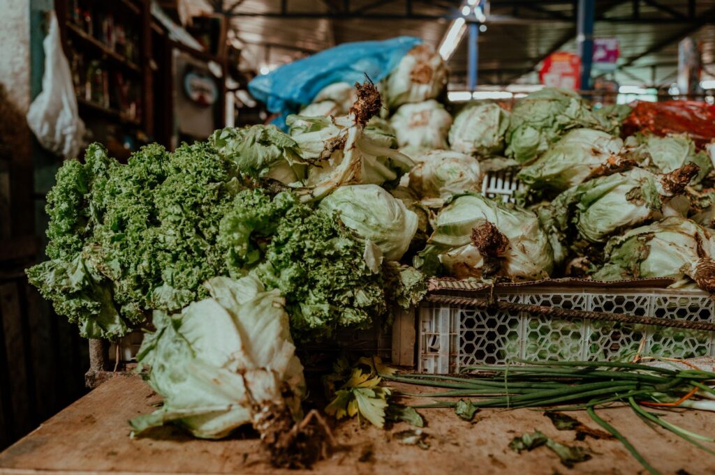 El secreto de la lava y el viñedo: la liturgia del Mercado Central de La Laguna y los tesoros de Anaga