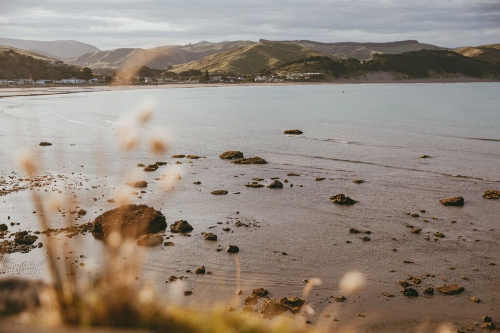 El latido intermodal de la línea ferroviaria de la Costa de Auckland: Ingeniería suburbana y conectividad en el Golfo de Hauraki