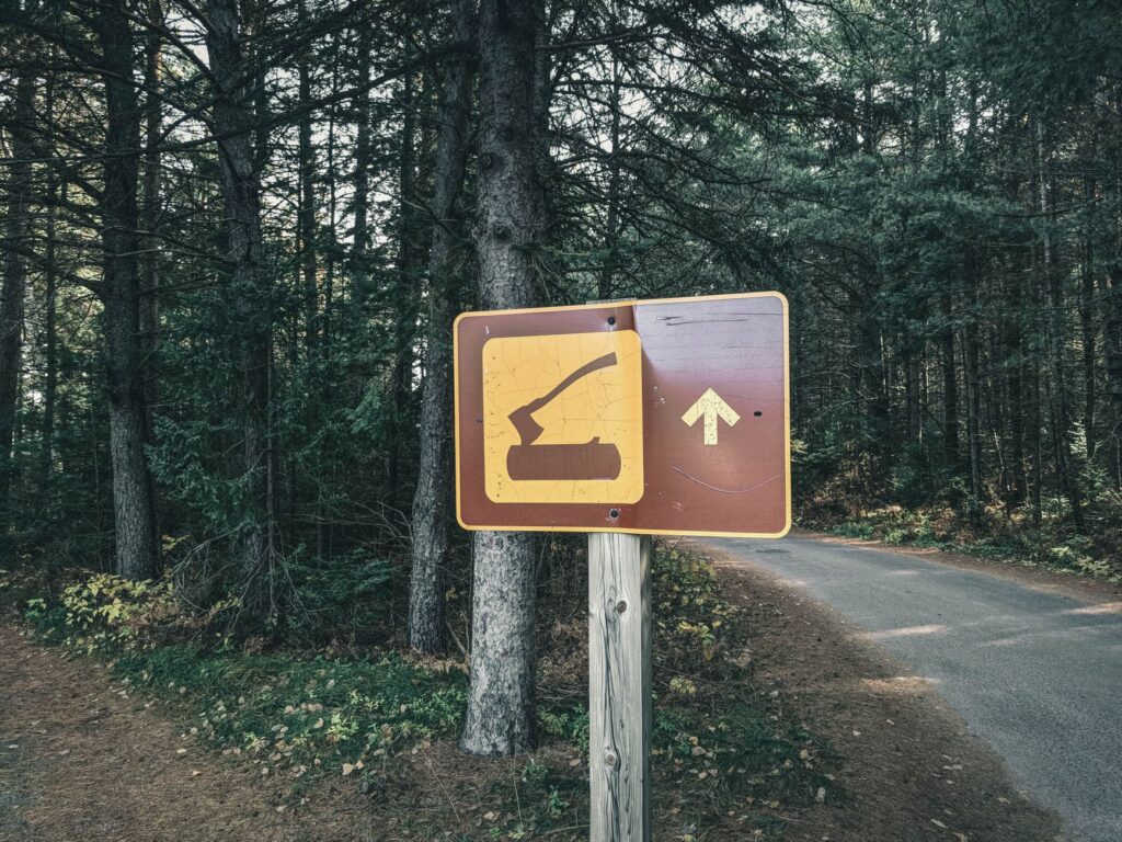 La Travesía del Sendero de Alta Ruta de los Apalaches del Norte en la Reserva de Baxter: Guía de Expedición y Senderismo por los Bosques Milenarios de Maine