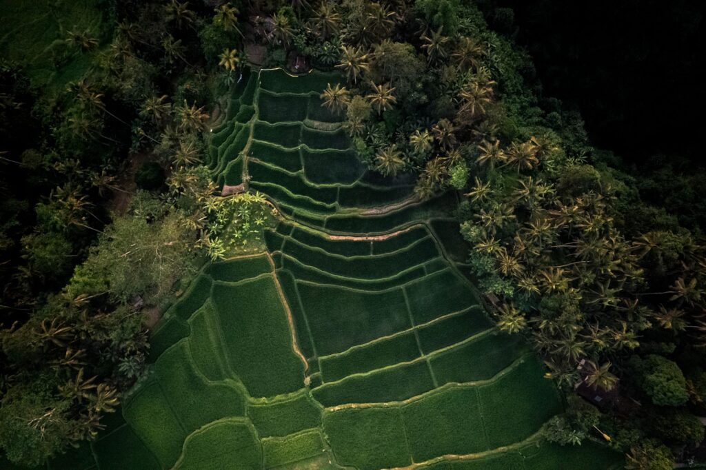 El laberinto de los arrozales en terraza: cómo la movilidad eléctrica rural y los caminos ancestrales transforman el transporte en Bali